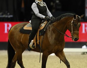 Lynn Palm on Hot N Royal