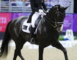 Wendi Williamson on Dejavu MH (by De Niro x Anamour). The black has spectacular bounce in piaffe and passage but was too tense today. Unfortunately the contact with the bit was poor. The horse had his mouth open all the time