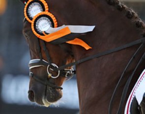 Carina Kruth's Red Diamant also carrying the ribbon for Heiline's Danciera