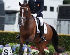 Spanish Grand Prix rider Cristobal Belmonte on Santos OLD (by Sancisco x Levantos). Not the most modern looking youngster, but Santos showed a cadenced trot and functional walk. Both flying changes were in two phases.