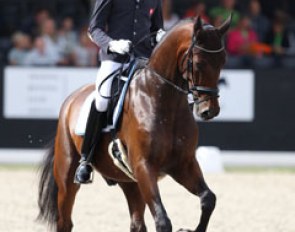 Michael Bugan's Austrian warmblood Floretto DK (by Furstenball x Samba Hit I) was not ready for Ermelo