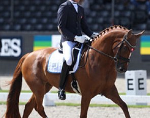 The first Slovakian to compete at the World Young Horse Championships: Michael Bugan on the lovely Scarlett O Harrah (by Spörcken x White Star) 