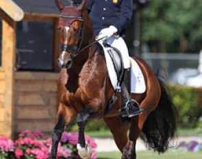 Spanish Olympian Claudio Castilla Ruiz on Eduardo Fischer's Oldenburg San Pikado (by San Amour x Don Pikado)