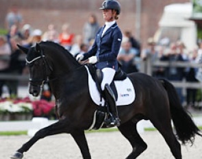 Governor at the 2017 World Young Horse Championships :: Photo © Astrid Appels