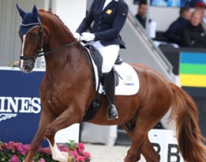 Mara de Vries on Habibi DVB (by Don Schufro x Johnson). This very well trained chestnut is slightly long in the back and has troubles to develop a clear rhythm in walk. The canter and trot covered much ground