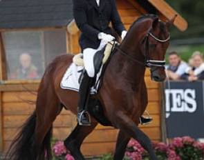 Belgian Brecht d'Hoore on the Dutch warmblood Go on Top MP (by Danone I x Welt Hit II)