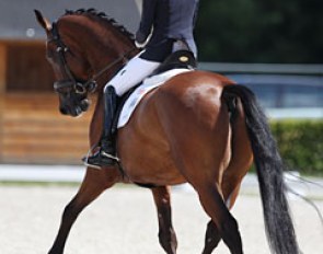 Charlotte Fry on Graaf Leatherdale T (by Lord Leatherdale x Kennedy)