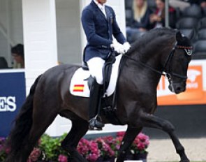 Spanish Guillermo Garcia Ayala did an excellent job in presenting his PRE Poeta de Susaeta (by Cacique) in a relaxed way, preventing the horse's gaits to get hectic