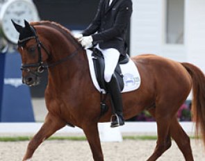 Barnabas Gemes on the Hungarian warmblood Jamiroquai (by Johnson x Alabardos). The chestnut has a lovely canter and is up in the frame, but he was quite tense today, impressed by the surrounding