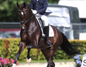Thomas "Tom" Goode on Ulla Smirnova's Hanoverian Saint Julian (by Sandro Hit x Donnerhall)