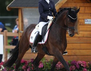 German Geertje Hesse-Wadenspanner on the Austrian warmblood United Europ (by United x Almox Prints J)