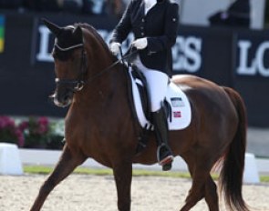Norwegian Maren Knappe on the Norwegian warmblood Skoglys Rihanna (by Royal Olymp x Dynamit)