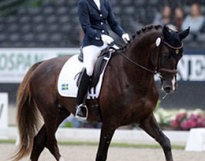 Camilla Lindh on Anette Syren's Swedish warmblood Klifton (by Floricello x Briar). The canter was the best gait of the three