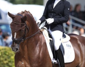 Libuse Mencke's Glücksruf II (by Dramatiker x Opernball) is not the most streamlined horse in his conformation but he showed good flow in trot and a big extended walk. In canter he was not entirely through in the bridle