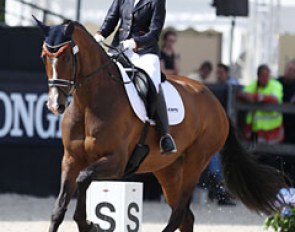 Jeanine Nieuwenhuis on the powerful mare Great Lady TC (by Bretton Woods x Osmium)