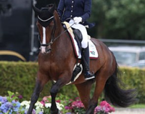 Italian Norma Paoli on the very gifted Hanoverian bred Lisara (by Lissaro van de Helle x St Moritz)