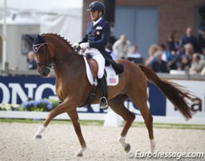 Cesar Parra and Don Cesar at the 2017 World Young Horse Championships :: Photo © Astrid Appels