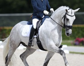 Portuguese Hugo Pereira on Fabienne Froidcoeur's Portuguese Sport Horse bred Gribaldi (by Paquirri x Florestan)