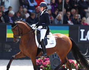 Ainhoa Prada Ortiz on Hannelinde (by Dream Boy x Sunny Boy). The mare has a spectacular silhouette and really lifts the legs, but the hindlegs do not consistently move under and lost balance on the curved lines. Interesting mare! though