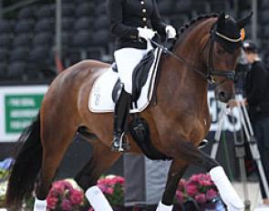 Dorothee Schneider and Sisters Act OLD von Rosencarree at the 2017 World Young Horse Championships :: Photo © Astrid Appels