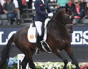 Emmelie Scholtens' very tall Hero (by Apache x Metall) did not cope well with the weather and was spooky. The trot and canter were strong, but the rhythm in walk was mediocre