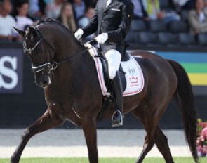 Jacob Norby Sorensen on Ellegaardens San Droneur (by San Amour x De Noir)