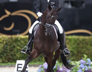 Swedish Jacob Norby Sorensen on Ellegaardens San Droneur (by San Amour x De Noir). The black had an active well engaged trot and canter, but he also kicked to the spur. 