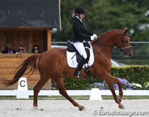 Norwegian Silje Tornvik on the Norwegian warmblood Maros Fabergee (by Fassbinder x Romanov)