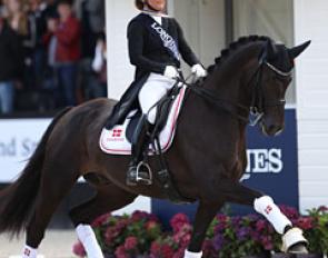Anne Troensegaard and Kipling win bronze at the 2017 World Young Horse Championships :: Photo © Astrid Appels