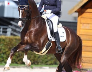 Dana van Lierop on Gunner KS (by Belissimo M x Vincent). He scored 9.4 for the breath taking, uphill canter. The horse was a bit wild though, as he kicked to the spur and was not entirely relaxed in the contact
