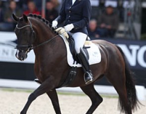 Katrien Verreet on her home bred Belgian warmblood Miss Furstenball (by Furstenball x Ritmeister). Today the mare was not on peak performance, getting very wide behind and loses the rhythm in trot. She's had better days before. Pity