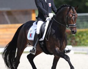 Nicolas Wagner on Rock on Top (by Rock Forever x Ferragamo). The stallion did not always have a happy expression but the trot had a nice side silhouette and the walk had good overtrack
