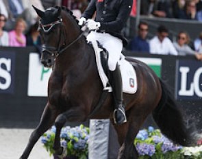 Frederic Wandres on Fior (by Furstenball x Sandro Hit)