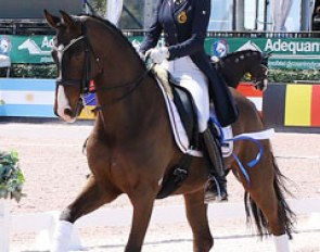 Antonia Arl and Equestricons Duke De Niro at the 2017 CDI Wellington :: Photo © Betsy Labelle