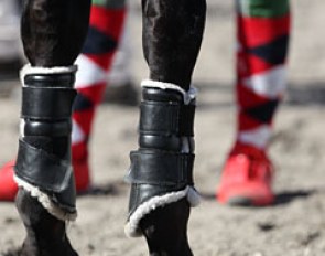 Colourful socks with unauthorized boots at the horse inspection (the boots were removed for the trot up)