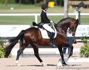 Look who's here: Wamberto, the 2006 KWPN licensing champion, competing at national small tour level