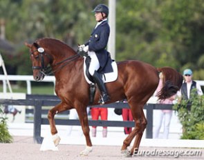 Jan Ebeling on Breitan (by Breitling). Not the most naturally active horse, but he has a nice a piaffe going