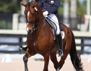 Alejandro Gomez on Zalvador