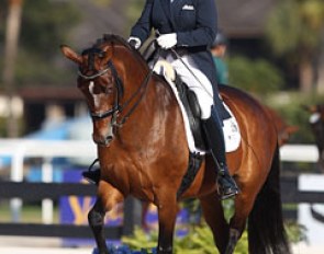 Kimberly Herslow on Stella Hagelstam's former Grand Prix horse Soraya II (by Sandro Hit)