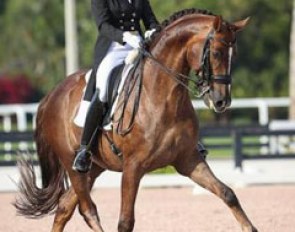 Ashley Holzer and Sir Caramello at the 2017 CDN Wellington :: Photo © Sue Stickle