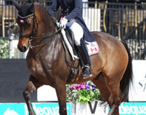Jill Irving on Arthur