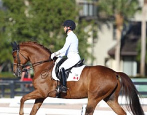 Jill Irving on the 2010 PSI Auction horse Soccer City (by Sir Donnerhall x Weltmeyer)