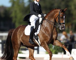 Katie Johnson on the gorgeous liver chestnut Sylvester