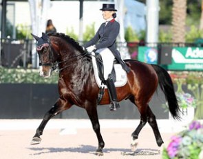 Charlotte Jorst and Nintendo at the 2017 CDI-W Wellington :: Photo © Sue Stickle