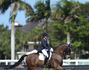 Beatiful photography in the national show ring at the 2017 CDI Wellington. Charlotte Jorst on Ray Dance :: Photo © Astrid Appels
