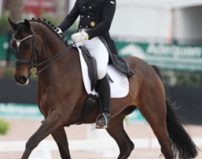 Michael Klimke on the former licensed stallion Lemony's Nicket. The Hanoverian underwhelmed in the small tour. The long legged bay lacked muscle, body tension and overall collection in the test. Hopefully he will develop and mature more in time