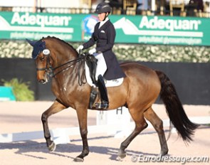 Olivia Lagoy-Weltz on Rassing's Lonoir at the 2017 CDI Wellington :: Photo © Astrid Appels