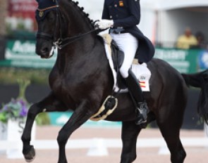 Juan Matute and Don Diego won kur bronze at the 2016 European Under 25 Championships last summer, but his loyal Don Diego now gave a very tired impression with mileage showing.