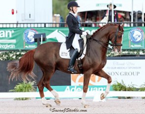 Arlene Page and Dr. House win the Grand Prix Special at the 2017 CDI-W Wellington :: Photo © Sue Stickle