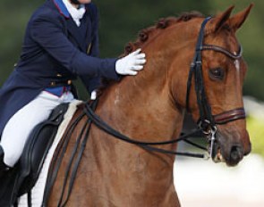 Natalie Pai getting her Grand Prix miles on schoolmaster Unlimited (by Jazz), previously shown by Stephanie Peters and PJ Rizvi